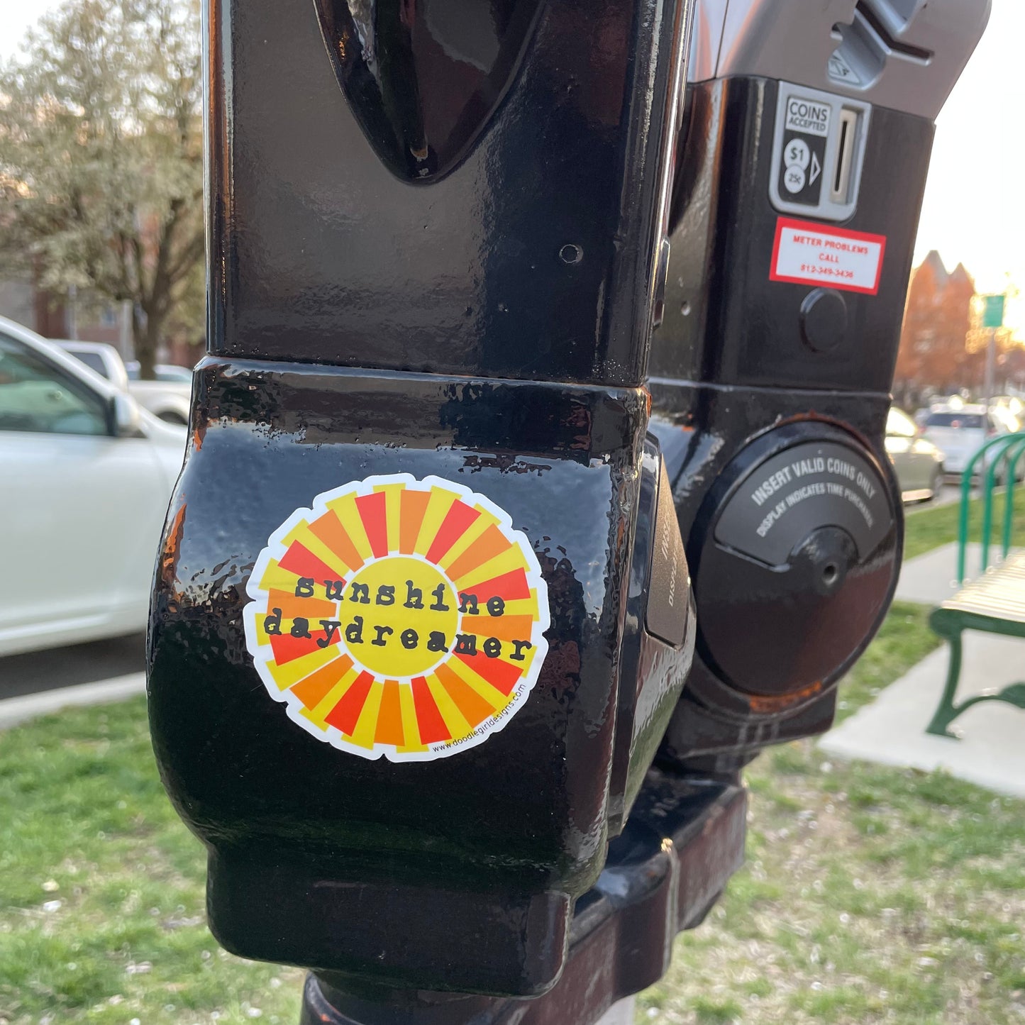 SUNSHINE DAYDREAMER STICKER